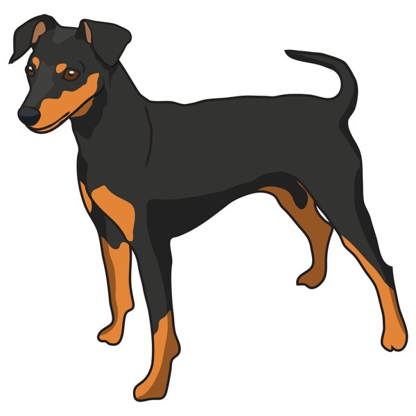 Signmission Miniature Pinscher Dog Decal, Dog Lover Decor Vinyl Sticker D-12-Miniature Pinscher - main